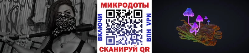 Псилоцибиновые грибы мухоморы  наркошоп  Приволжский 